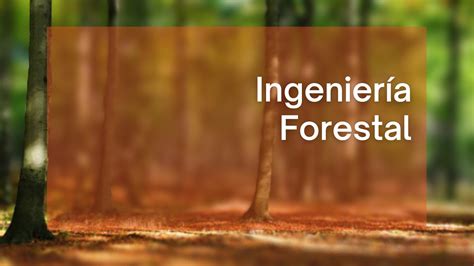 Ingeniería forestal