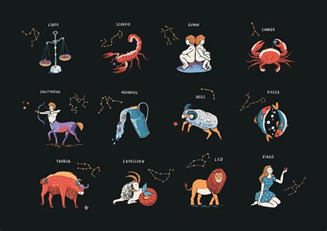 zodiac signs vector illustrations set stock illustration