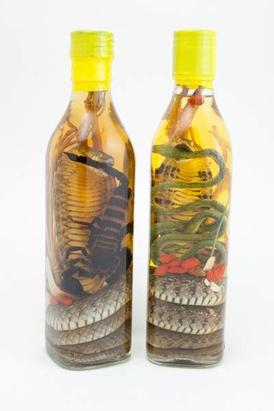 bottles snake wine scorpion wine buy snake winecom