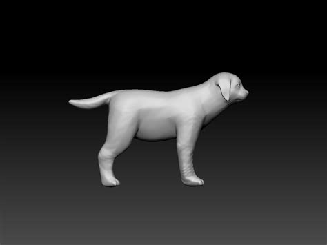 Stl File Dog 🐕 ・3d Printable Model To Download・cults