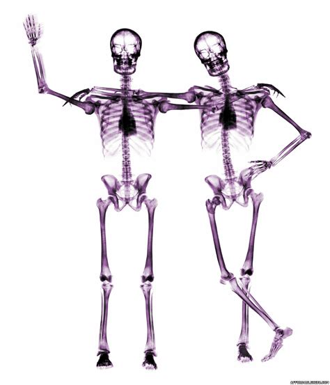 Picture Of Two Human Body Skeletons One Is Waving His Hand Saying Bye Clipart Best