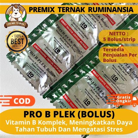 Jual Pro B Plek Bolus Rasa Jeruk 1 Strip 5 Bolus Vitamin B Kompleks