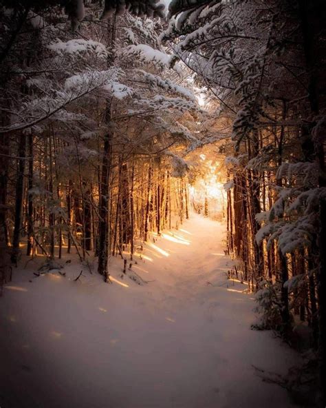 A Snowy Hiking Trail in the Great Smoky Mountains National Park in Tennessee in USA [1240x1080 ...