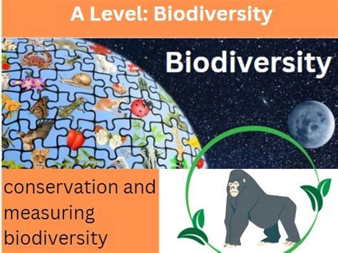 Biodiversity Conservation And Measuring Biodiversity Teaching Resources