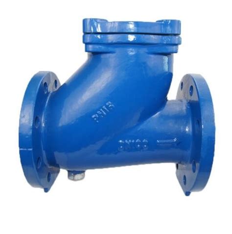 Ductile Iron Nozzle Ball Check Valve Dn Pn With Silence And Wafer