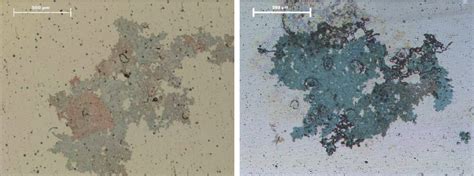 Filiform corrosion of enhanced aluminium Fig. 2. Filiform corrosion of... | Download Scientific ...