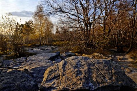 Zweiter Nationalpark In Nrw Geplant Wo Er Entstehen Soll