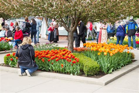 Photos 84th Annual Tulip Time In Pella Iowa National News