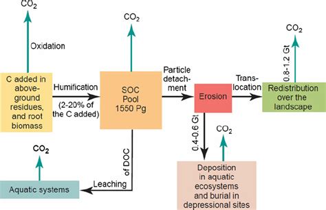 Soil Organic Carbon Dynamics DOC Dissolved Organic Carbon Copied With