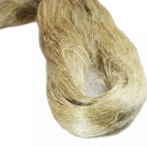 Raw Hemp Fiber Yarns At Rs 1200kilogram New Items In Pauri Id