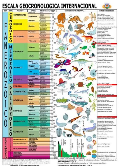 Escala Geocronol Gica Internacional Ciencias De La Tierra Origen De