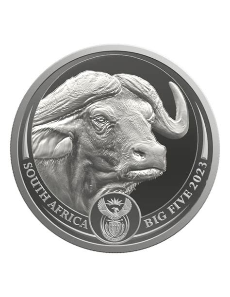 Buffalo Big Five Ii Oz Silver Coin Rand South Africa