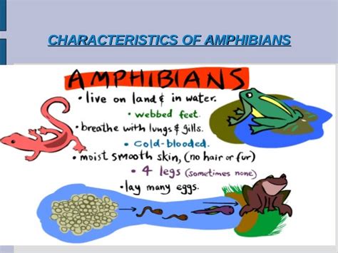 Amphibians ok