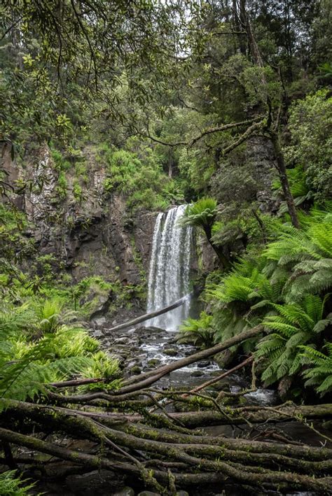 Hopetoun Falls Victoria, Australia : r/Waterfalls