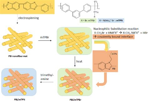 Schematic Representation Of The Pbimtpn Membrane Fabrication And