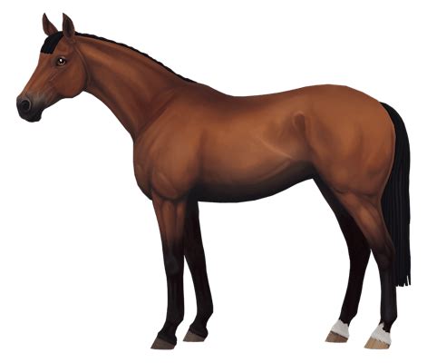 The Unbridled Importance Of Thoroughbred Horses A Glimpse Into Their History Breeding And Global Excellence