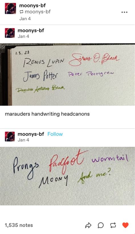 Harry Potter Headcannons Harry Potter Marauders Harry Potter Jokes