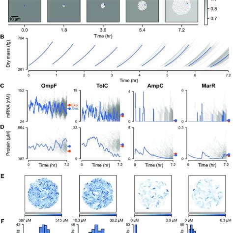 Spatio Temporal Heterogeneity In Baseline Gene Expression A