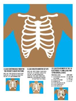 EKG leads mat by Susan Darr | TPT