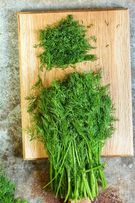 dill recipes  pickles izzycooking