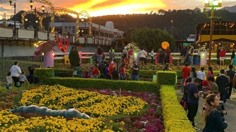 Feria de las Flores y del Café Cuándo empiezan a vender las entradas