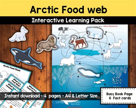 Arctic Food Web Printable Interactive Learning Pack Busy Book Page and ...