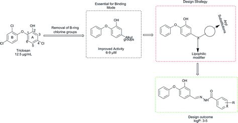 Design Synthesis And Evaluation Of Diphenyl Ether Analogues As