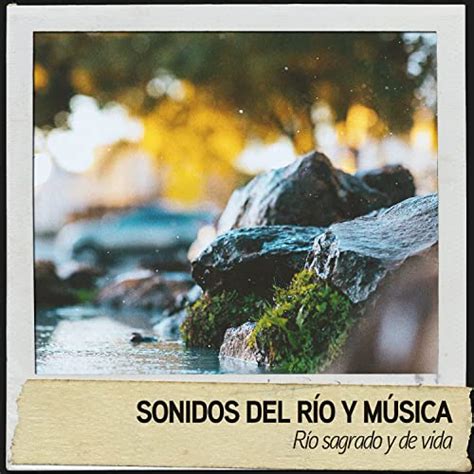 Amazon Music Sonido Del Bosque Y Naturaleza Musica Para Trabajar