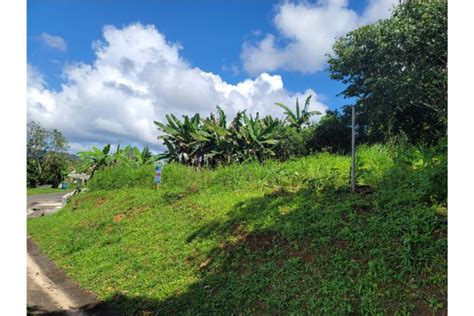 Naranjo Puerto Rico Venta Bienes Raíces Comerío Puerto Rico Real