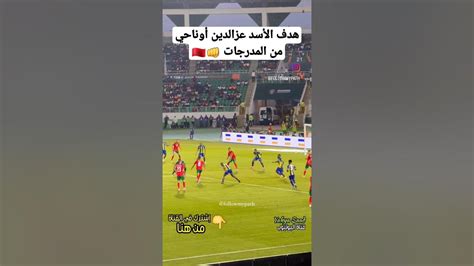 هدف الأسد عزالدين أوناحي🇲🇦👊 من المدرجات 🔥 عزالديناوناحي أوناحي