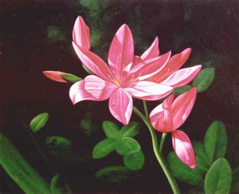 Classical Flower Paintings N Art In Bulk