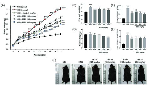 Effects Of BS21 On Body Weight Body Weight Gain Food Intake And Food