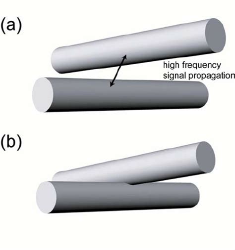 12 Schematic Of The Two Different Types Of Possible Whisker