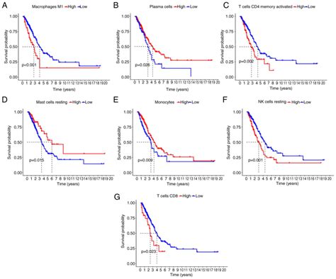 Construction Of An Immune Related Gene Prognostic Model With