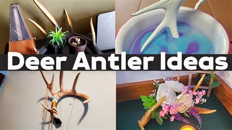 Diy Antler Crafts Home Decorating With Deer Antlers Youtube