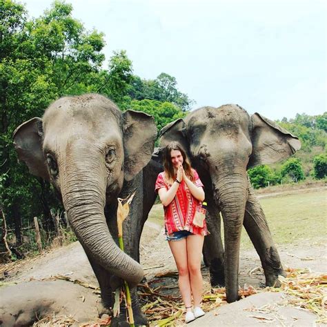 CHIANG MAI ELEPHANT JUNGLE SANCTUARY : BEST RATE 1650THB