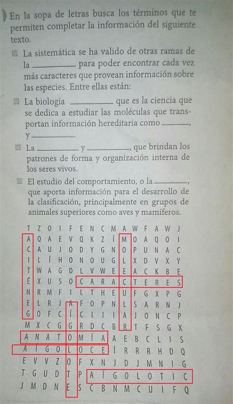 Ayuda Ayudemen A Encontrar Las Palabras En Este Sopa De Letras En La