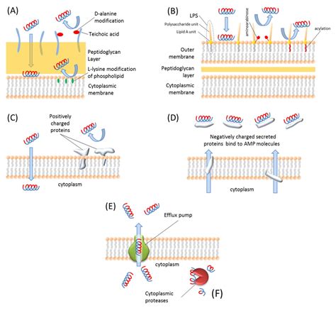 Pharmaceuticals | Special Issue : Peptide Drug Discovery and Development