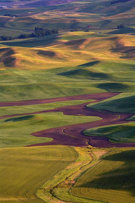 Palouse Hills Photograph by Michael Dawson - Pixels