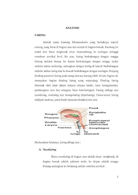 Doc Anatomi Fisiologi Faring Dan Laring Pdfslidenet