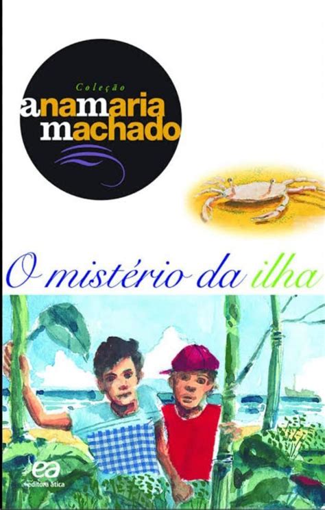 faça uma conclusão do livro o mistério da ilha da Ana Maria Machado