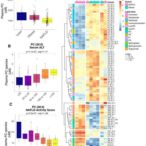 Associations Between Plasma Lipid Concentrations μm And Fatty Liver Download Scientific