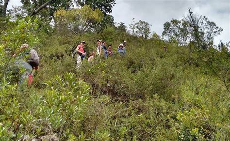 Caminata Ecológica Cáqueza Une Cundinamarca Ecoglobal Expeditions