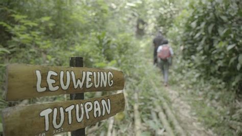 Mencium Magis Hutan Keramat Kampung Cireundeu Puasa Mutih Dan Lepas