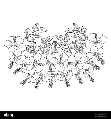 Illustration De La Page De Coloriage Des Fleurs D Hibiscus Avec Les