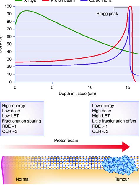 Particle Therapy Exploits A Favourable Depth Dose Curve Charged