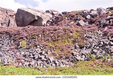 215 Burbage Rocks Edge Images, Stock Photos & Vectors | Shutterstock