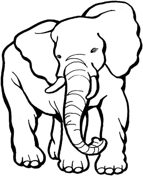 Elephant Template Animal Templates Free And Premium Templates