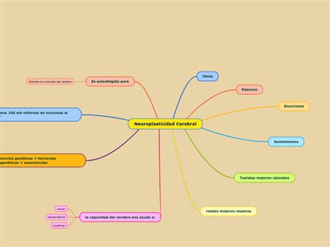 Neuroplasticidad Cerebral Mind Map