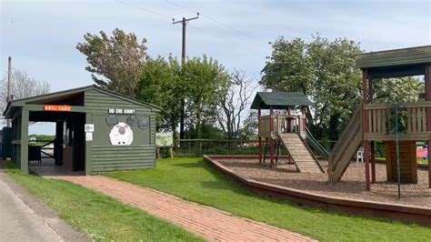 Summer Holidays At Amelia Trust Amelia Trust Farm